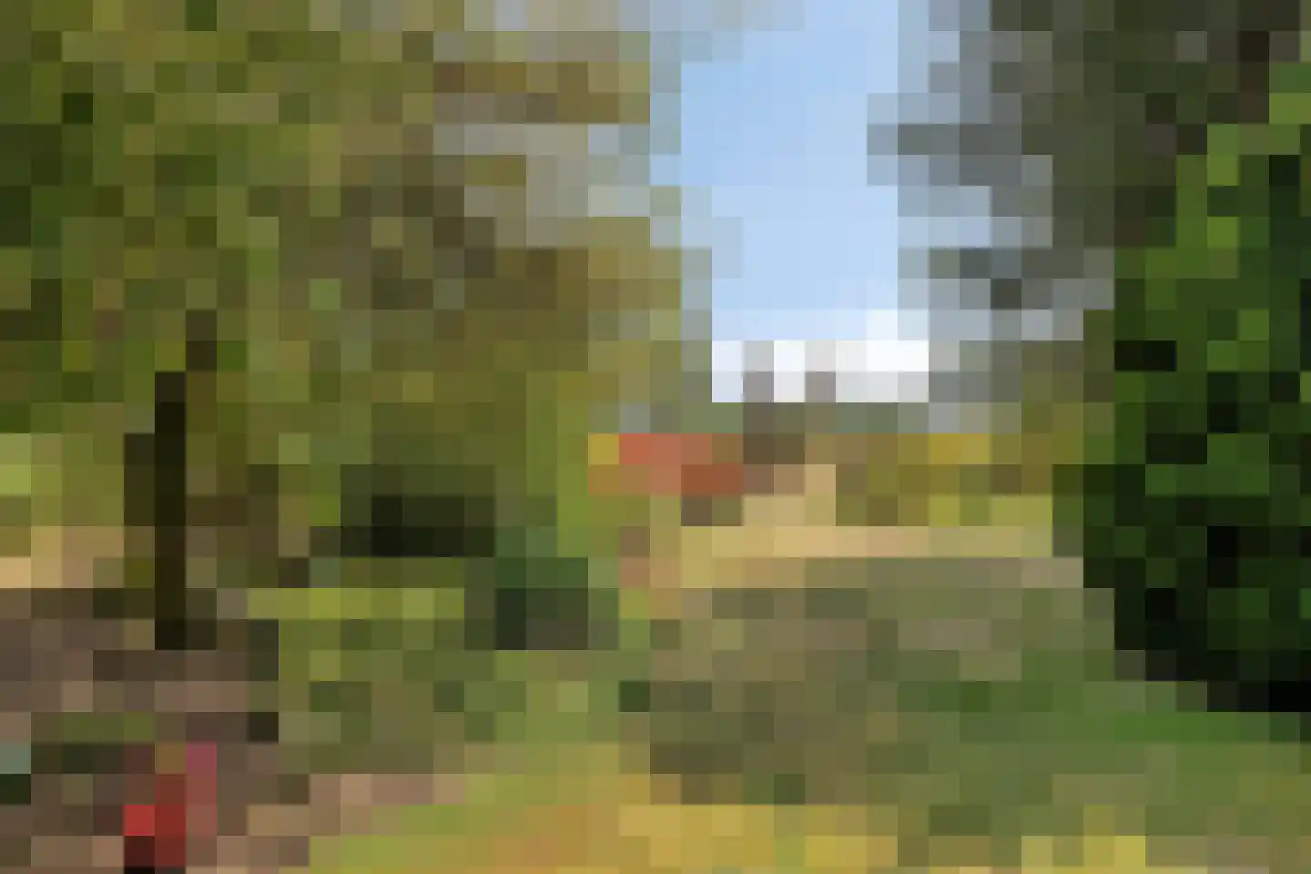 Banninkstraat 44 Hengelo (Gld) thumbnail 56
