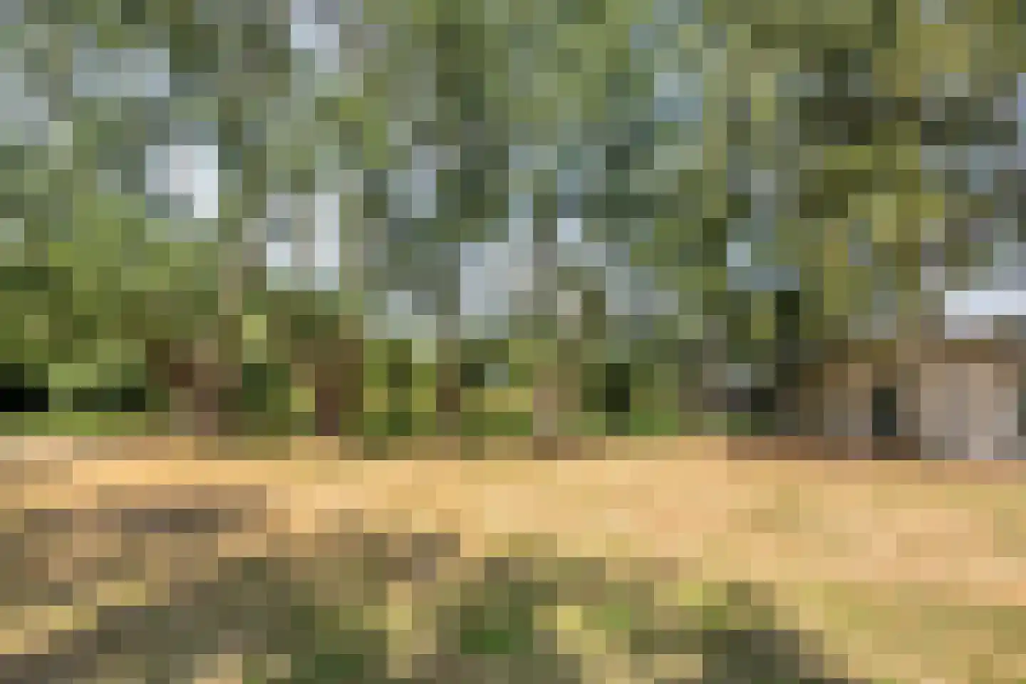 Banninkstraat 44 Hengelo (Gld) thumbnail 60