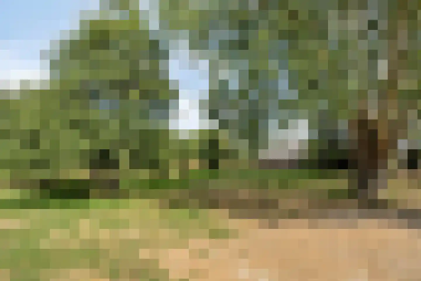 Banninkstraat 44 Hengelo (Gld) thumbnail 61