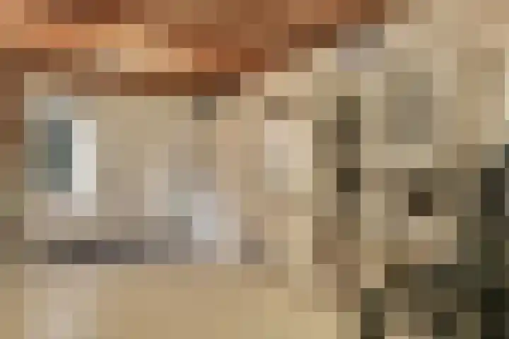 Banninksweg 11 Nijverdal thumbnail 15