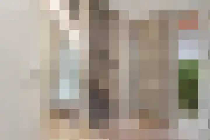 Banninksweg 11 Nijverdal thumbnail 17