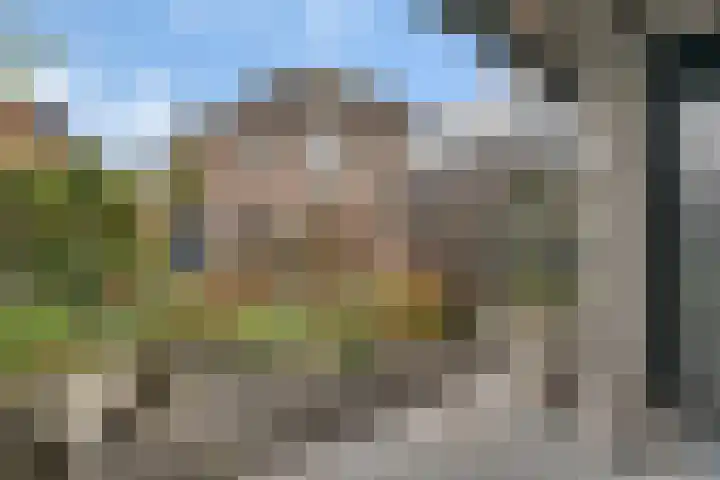 Banninksweg 11 Nijverdal thumbnail 33