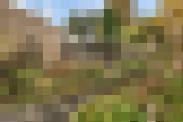Banninksweg 11 Nijverdal thumbnail 36