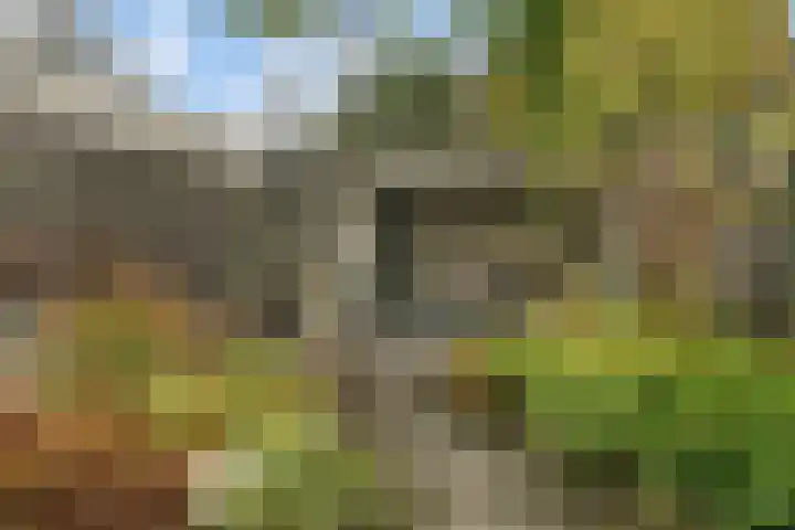 Banninksweg 11 Nijverdal thumbnail 37