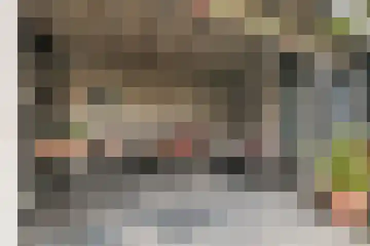 Banninksweg 11 Nijverdal thumbnail 38