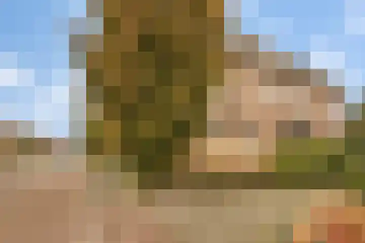 Banninksweg 11 Nijverdal thumbnail 42