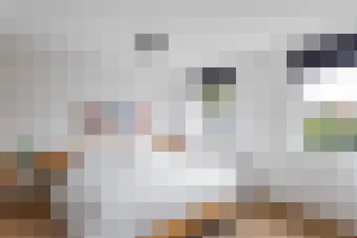 Banninksweg 22 Nijverdal thumbnail 11