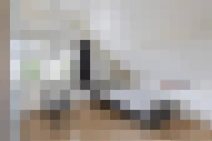 Banninksweg 22 Nijverdal thumbnail 13