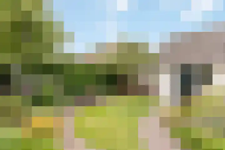 Banninksweg 22 Nijverdal thumbnail 15