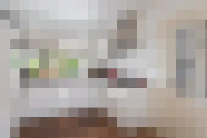 Banninksweg 22 Nijverdal thumbnail 8
