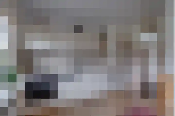 Banninksweg 4 Laren thumbnail 18