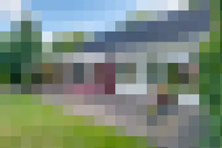 Banninksweg 4 Laren foto 2