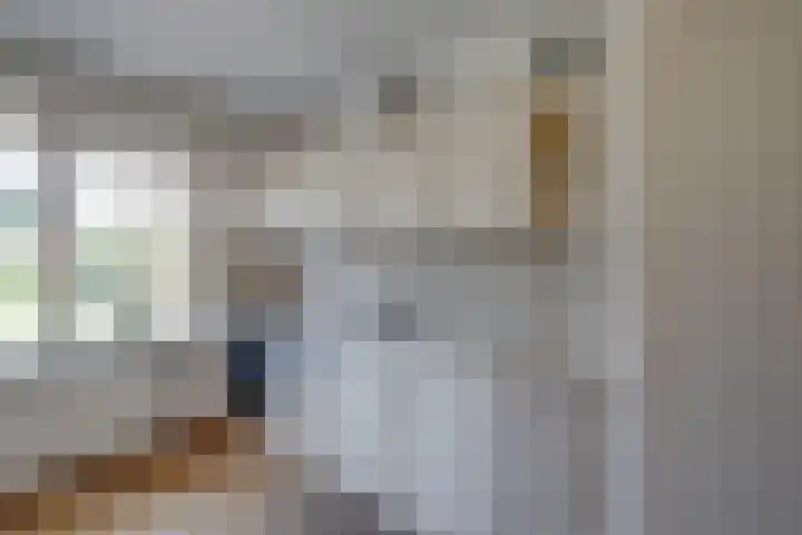 Banninksweg 4 Laren thumbnail 20