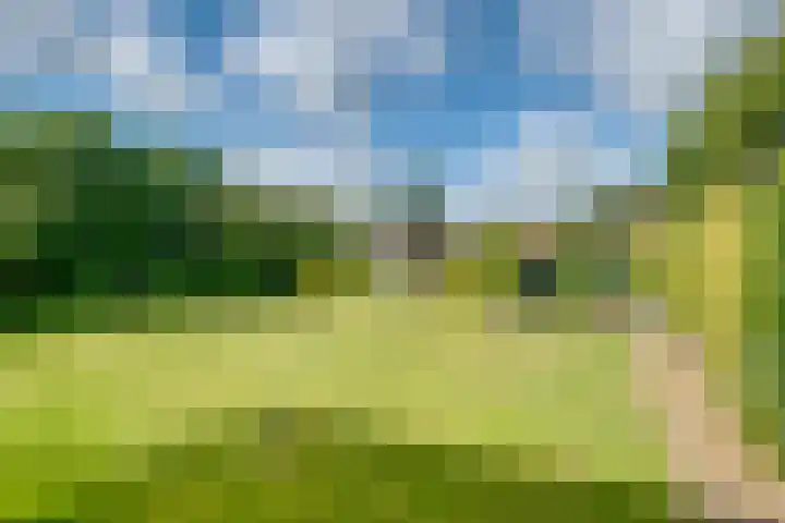 Banninksweg 4 Laren foto 3