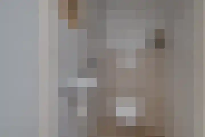 Banninksweg 4 Laren thumbnail 32