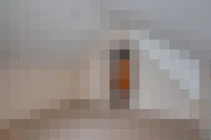 Banninksweg 4 Laren thumbnail 36