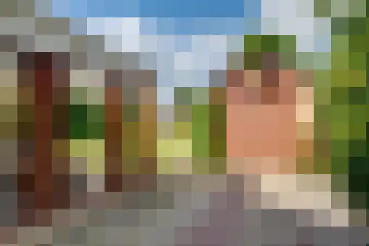 Banninksweg 4 Laren thumbnail 40