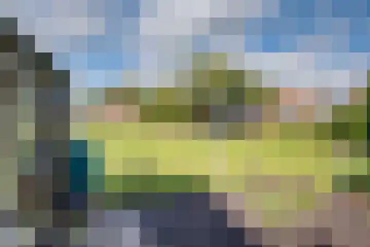 Banninksweg 4 Laren thumbnail 41