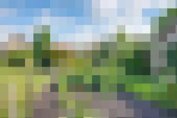 Banninksweg 4 Laren thumbnail 42