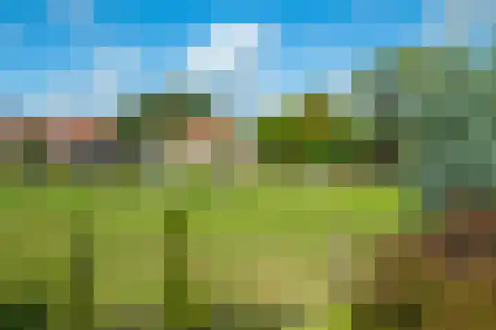 Banninksweg 4 Laren thumbnail 51