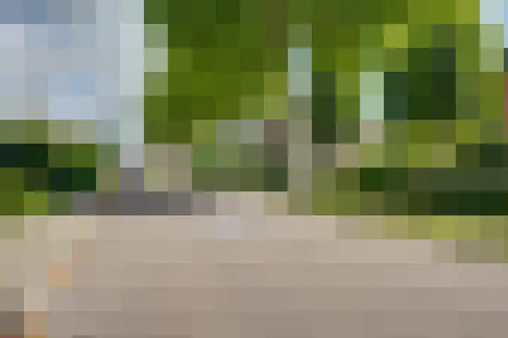 Banninksweg 4 Laren thumbnail 53