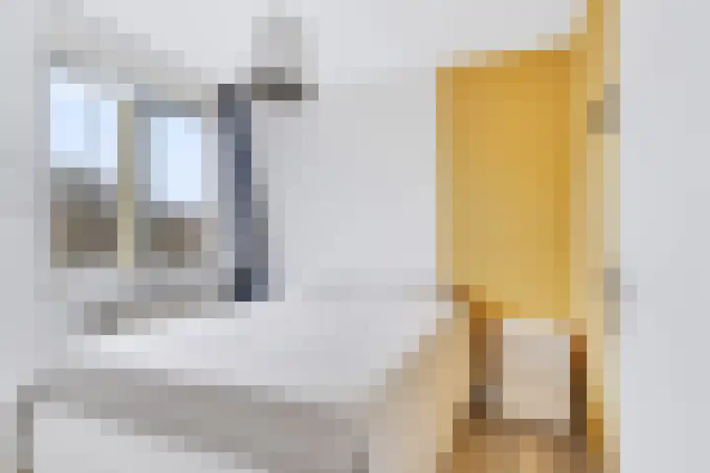 Bansingel 110 Oudenbosch thumbnail 19
