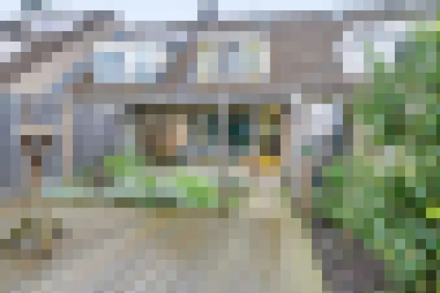 Bansingel 110 Oudenbosch thumbnail 30