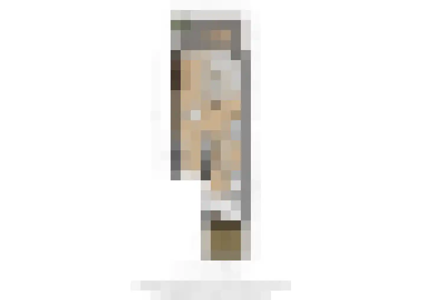 Bansingel 110 Oudenbosch thumbnail 33