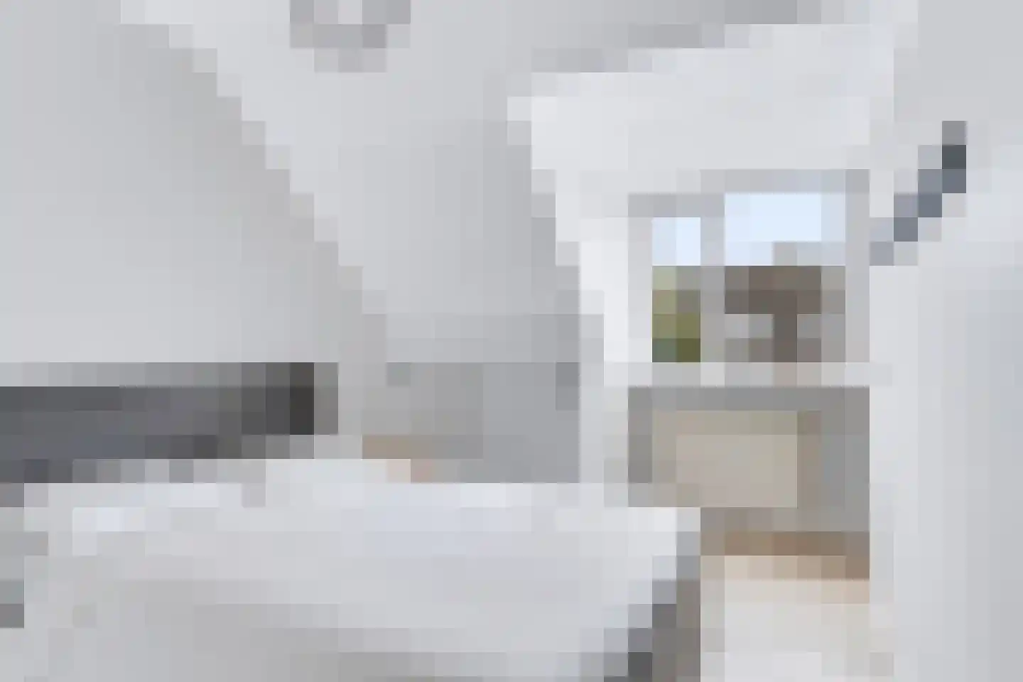 Bansingel 110 Oudenbosch thumbnail 7