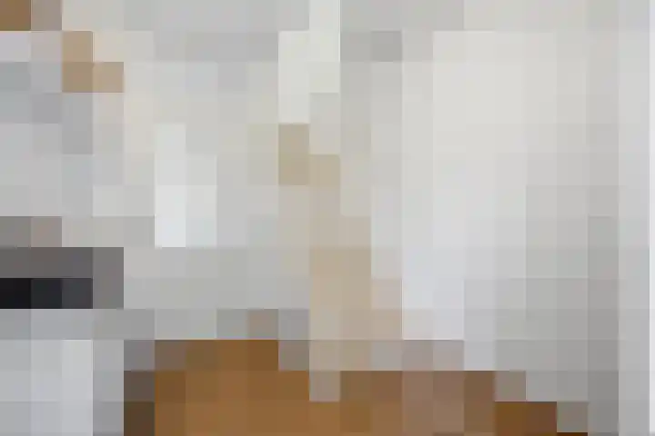 Bansingel 88 Oudenbosch thumbnail 15