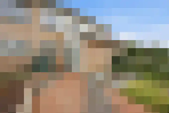 Bansingel 88 Oudenbosch thumbnail 32