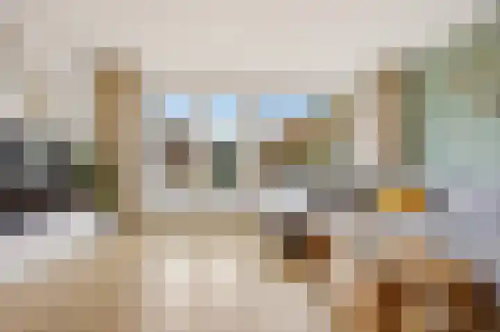 Bansingel 88 Oudenbosch thumbnail 5