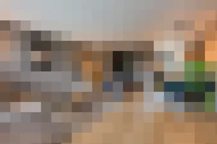 Bansingel 96 Oudenbosch thumbnail 10