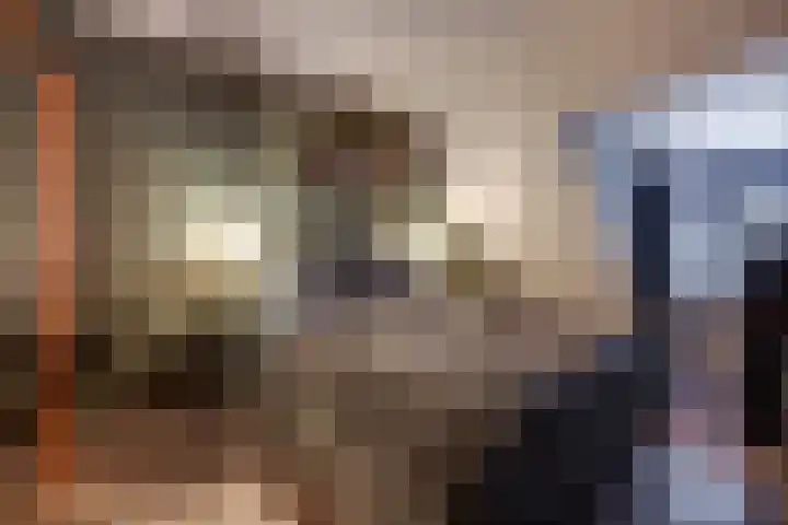 Bansingel 96 Oudenbosch thumbnail 16