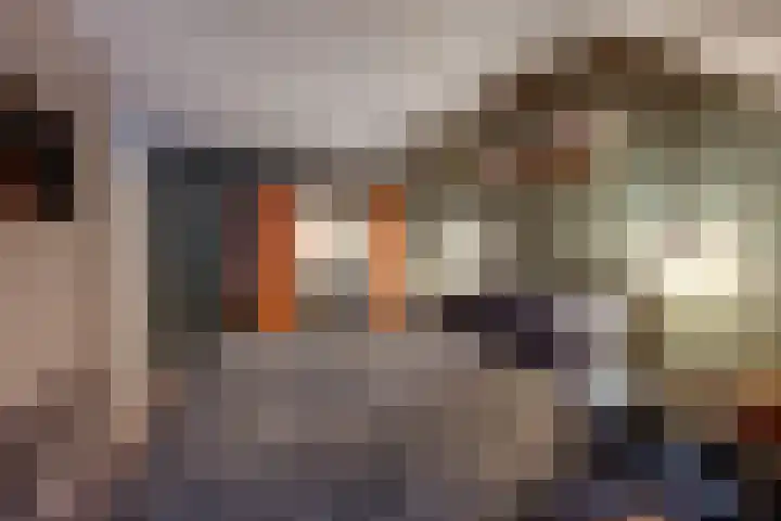 Bansingel 96 Oudenbosch thumbnail 17