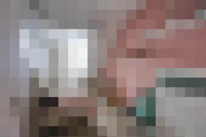 Bansingel 96 Oudenbosch thumbnail 18