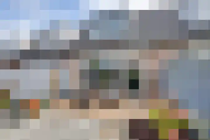 Bansingel 96 Oudenbosch thumbnail 23