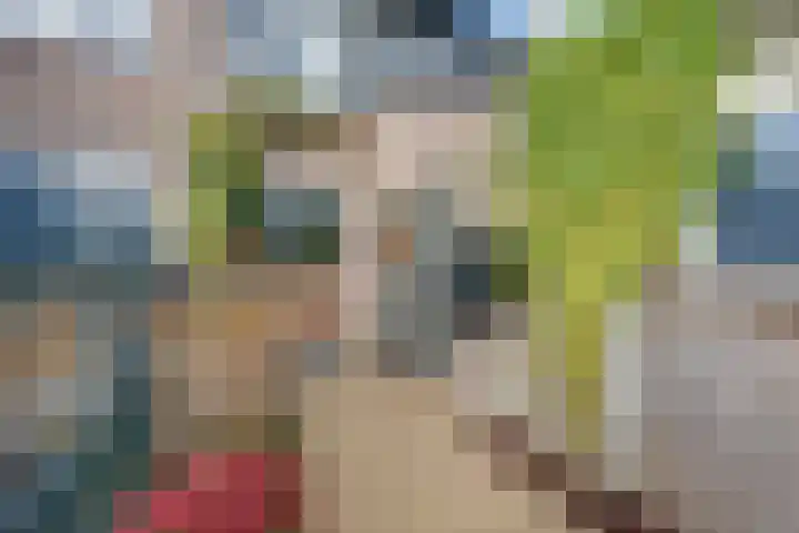 Bansingel 96 Oudenbosch thumbnail 6