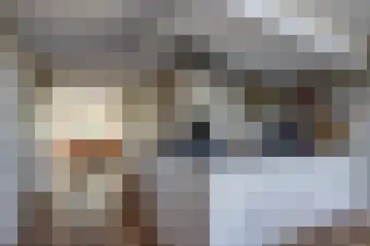 Bansloot 5 Tuitjenhorn thumbnail 11