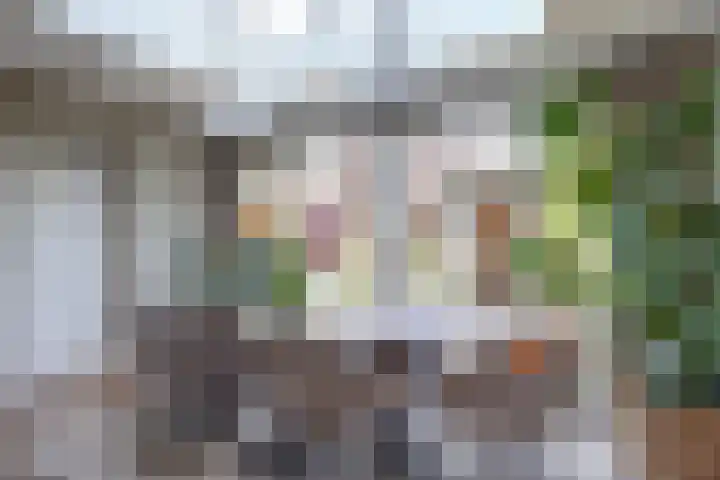 Bansloot 5 Tuitjenhorn thumbnail 13