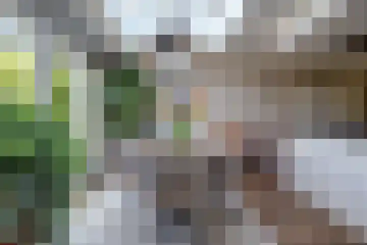 Bansloot 5 Tuitjenhorn thumbnail 14