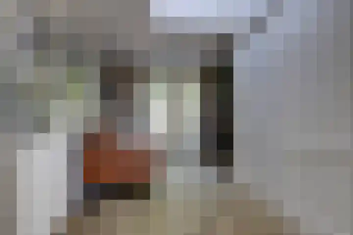 Bansloot 5 Tuitjenhorn thumbnail 17
