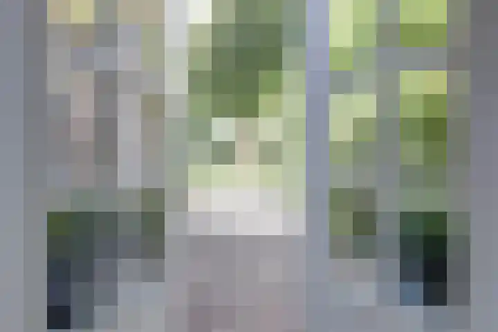 Bansloot 5 Tuitjenhorn thumbnail 19