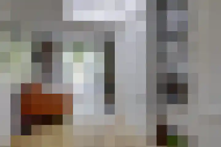Bansloot 5 Tuitjenhorn thumbnail 20