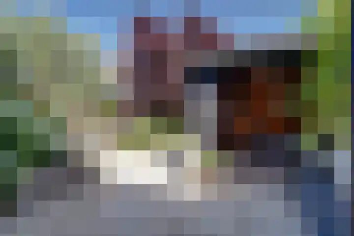 Bansloot 5 Tuitjenhorn thumbnail 21