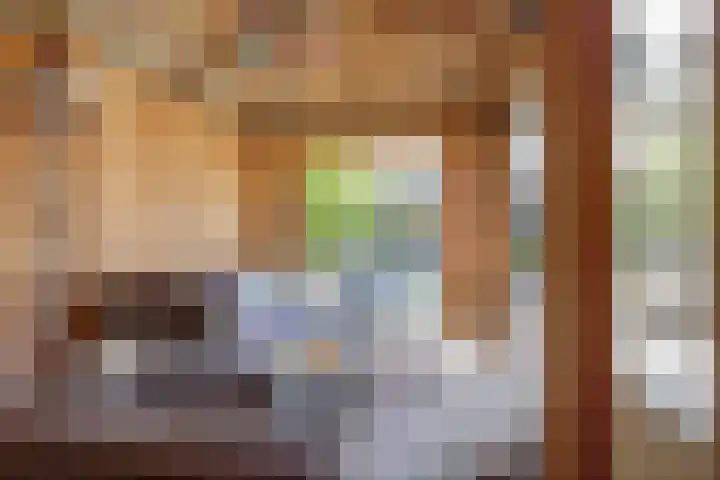 Bansloot 5 Tuitjenhorn thumbnail 22