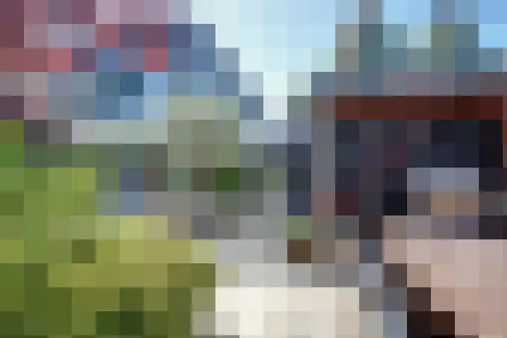Bansloot 5 Tuitjenhorn thumbnail 23