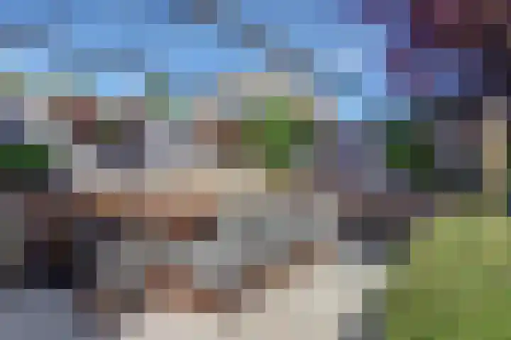 Bansloot 5 Tuitjenhorn thumbnail 24