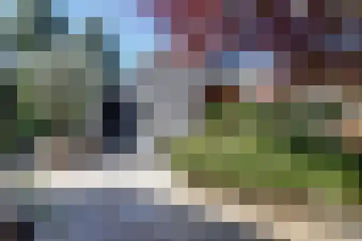 Bansloot 5 Tuitjenhorn thumbnail 26