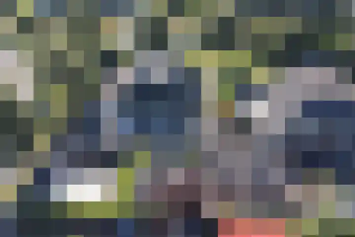 Bansloot 5 Tuitjenhorn thumbnail 27
